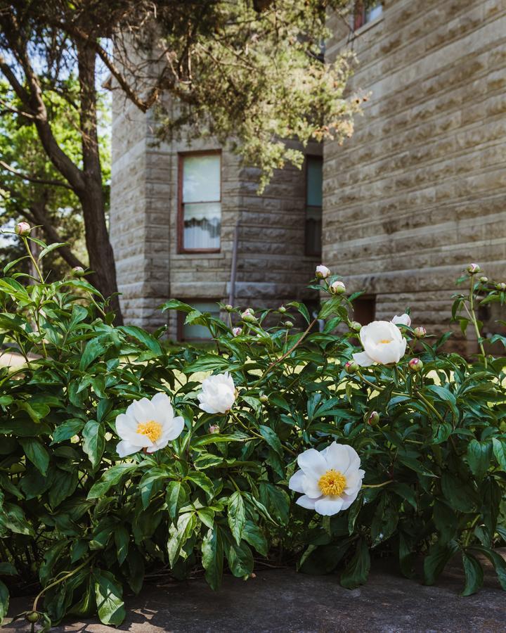 Bed and Breakfast The Mansion At Elfindale Springfield Exterior foto